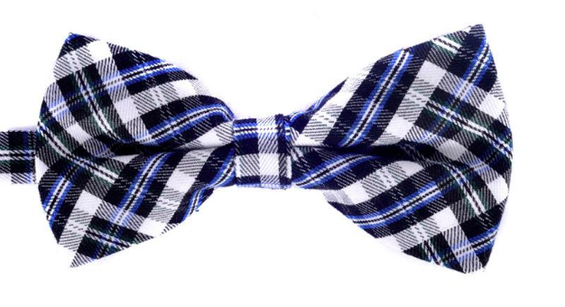 bow tie gift for groomsmen