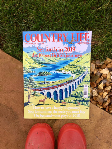 A NEW YEAR COVER FOR COUNTRY LIFE MAGAZINE – Kelly Hall Designs