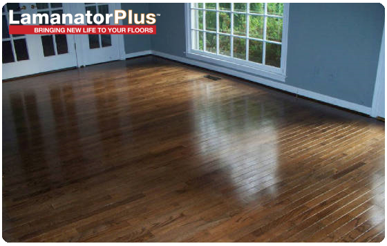 laminate floor after cleaning and restoring with lamanator plus