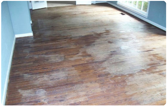 laminate floor before cleaning with lamanator plus