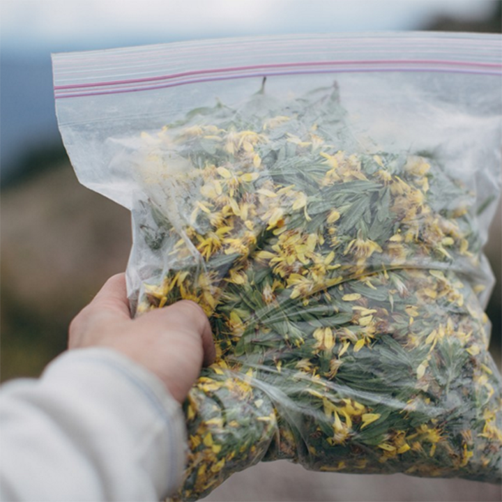 Juniper Ridge - Bag of Wildcrafted Flowers