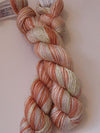 Artyarns - Regal Silk Yarn - 100 Series (Multicolors)