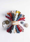 Blue Sky Fibers - Woolstok - 21 Mini Skein Bundles