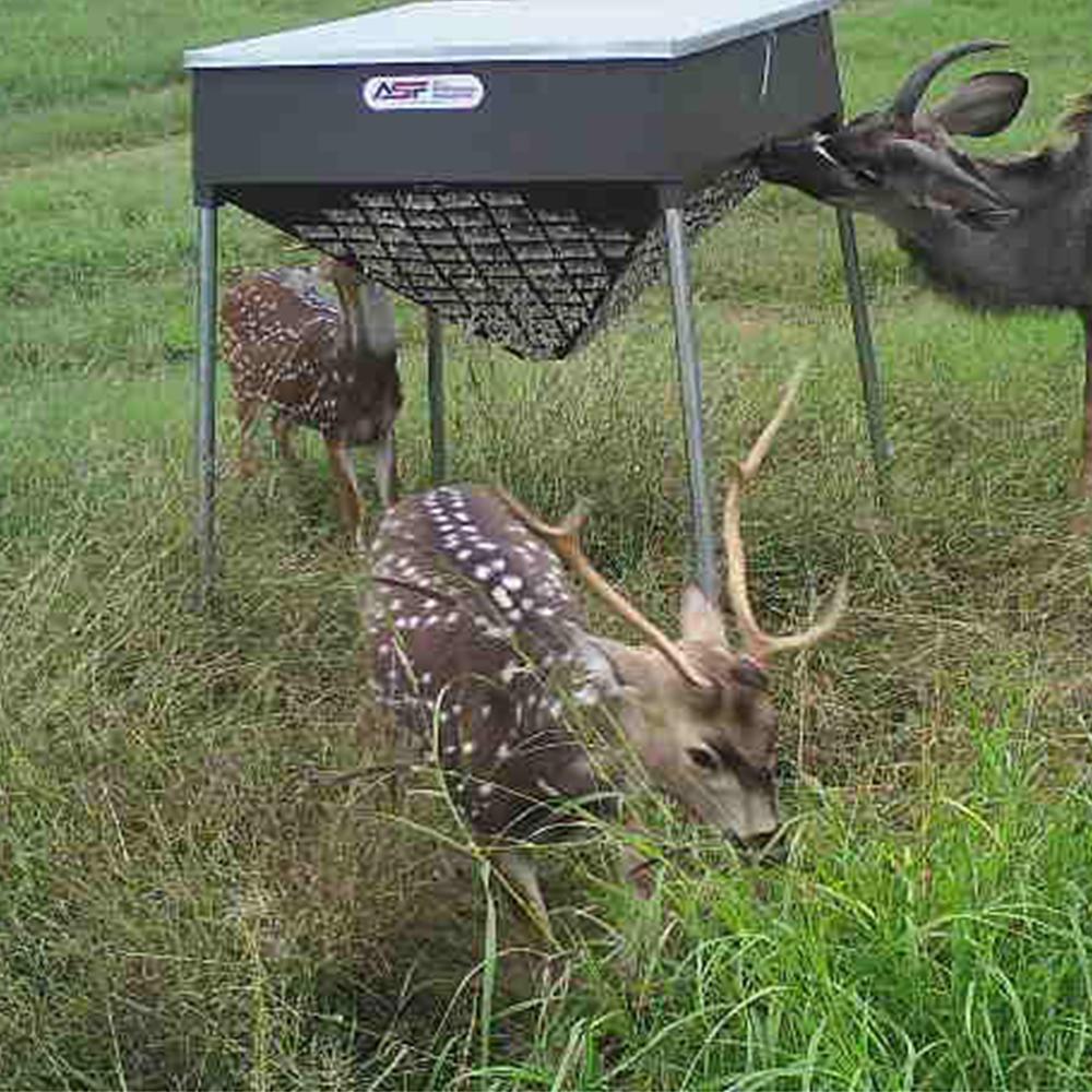 500lb cottonseed feeder