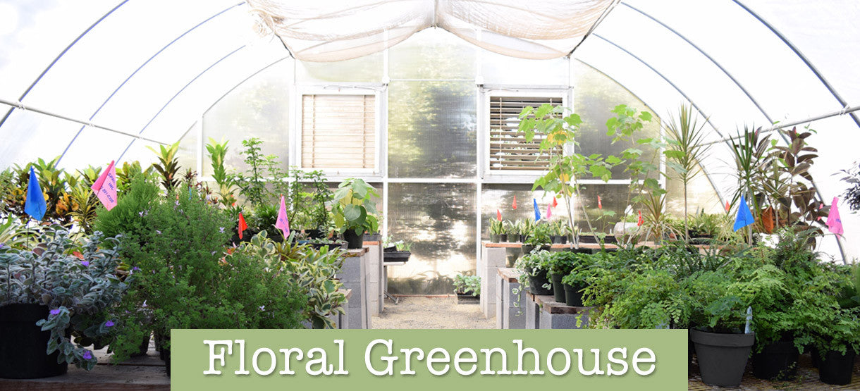 Floral Greenhouse