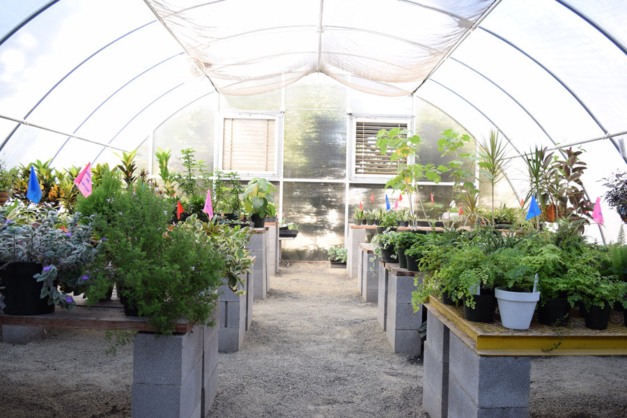 Park and Garden Greenhouse