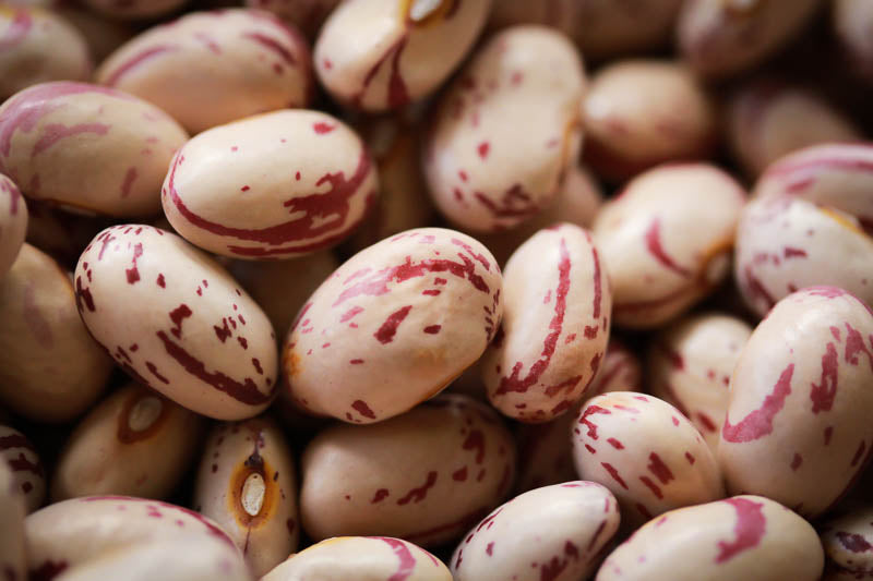 Rancho Gordo Dried Heirloom Cranberry Beans