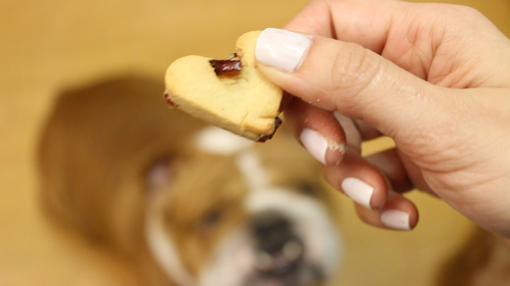 Cranberry Hearts Dog Treat