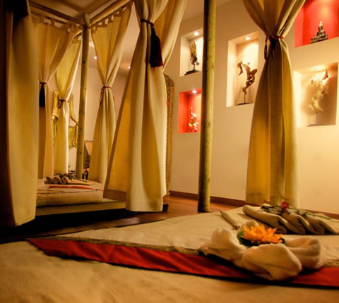 Massage, soins et Rituels duo - Spa Arbre à Sens Paris 1