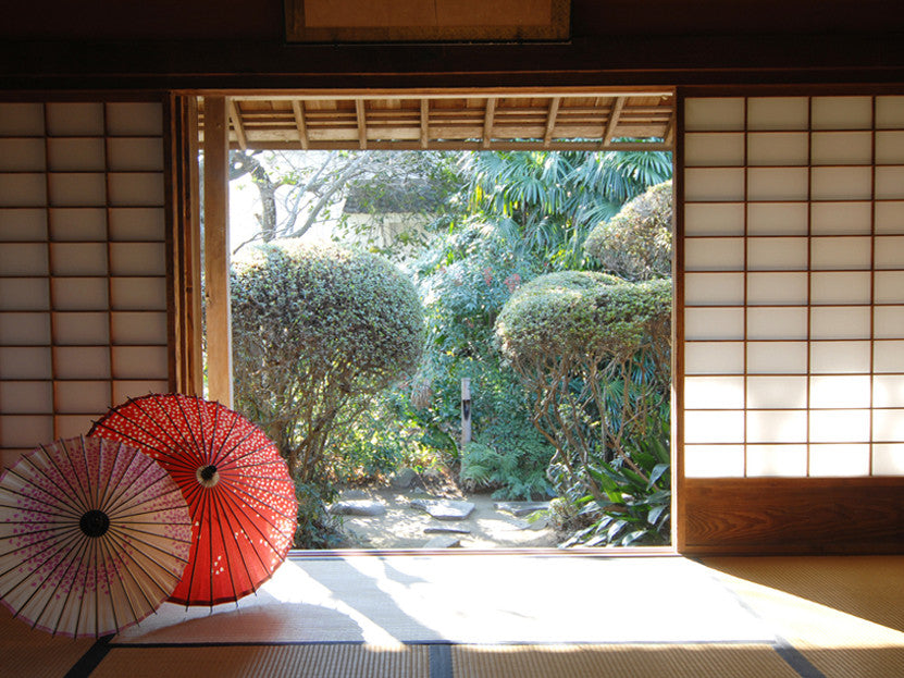  Kyoto Summer, Stay Cool with Visualization, Amayori, 3