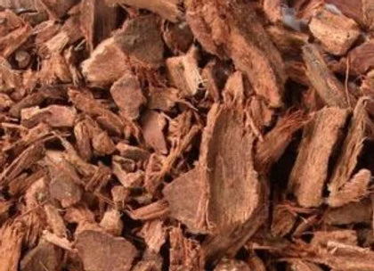 Cinchona Bark