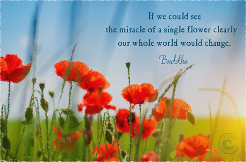 Buddha quotes on life, If we could see the miracle of a single flower clearly our whole world would change. 
