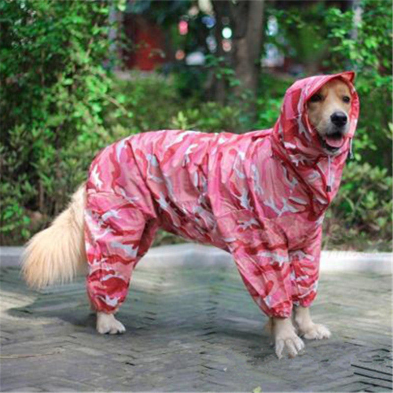 raincoat for golden retriever dog