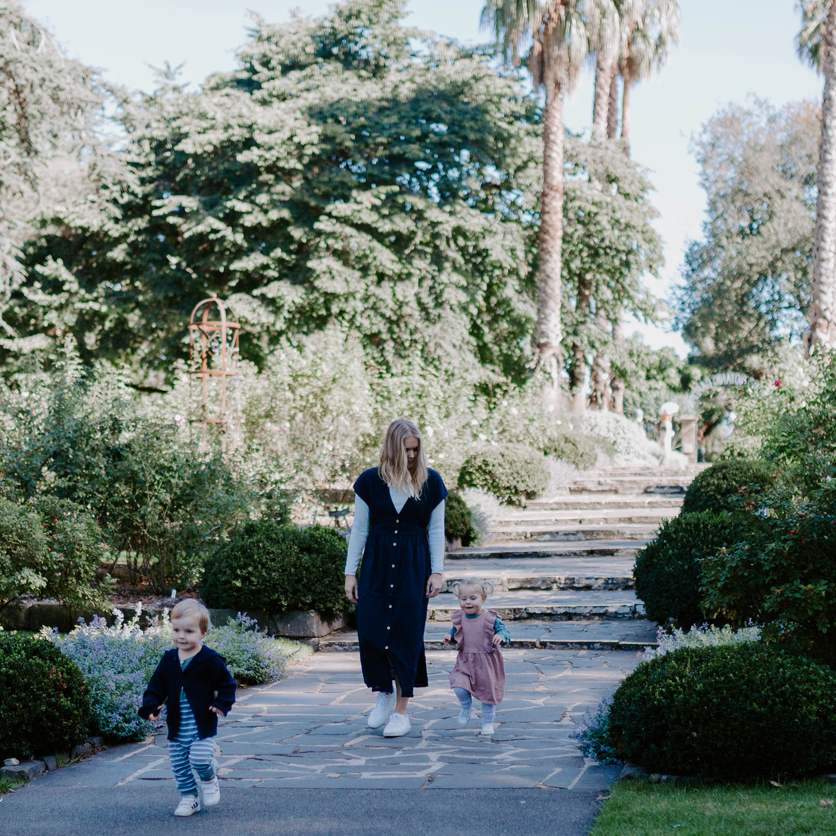 geelong botanical gardens