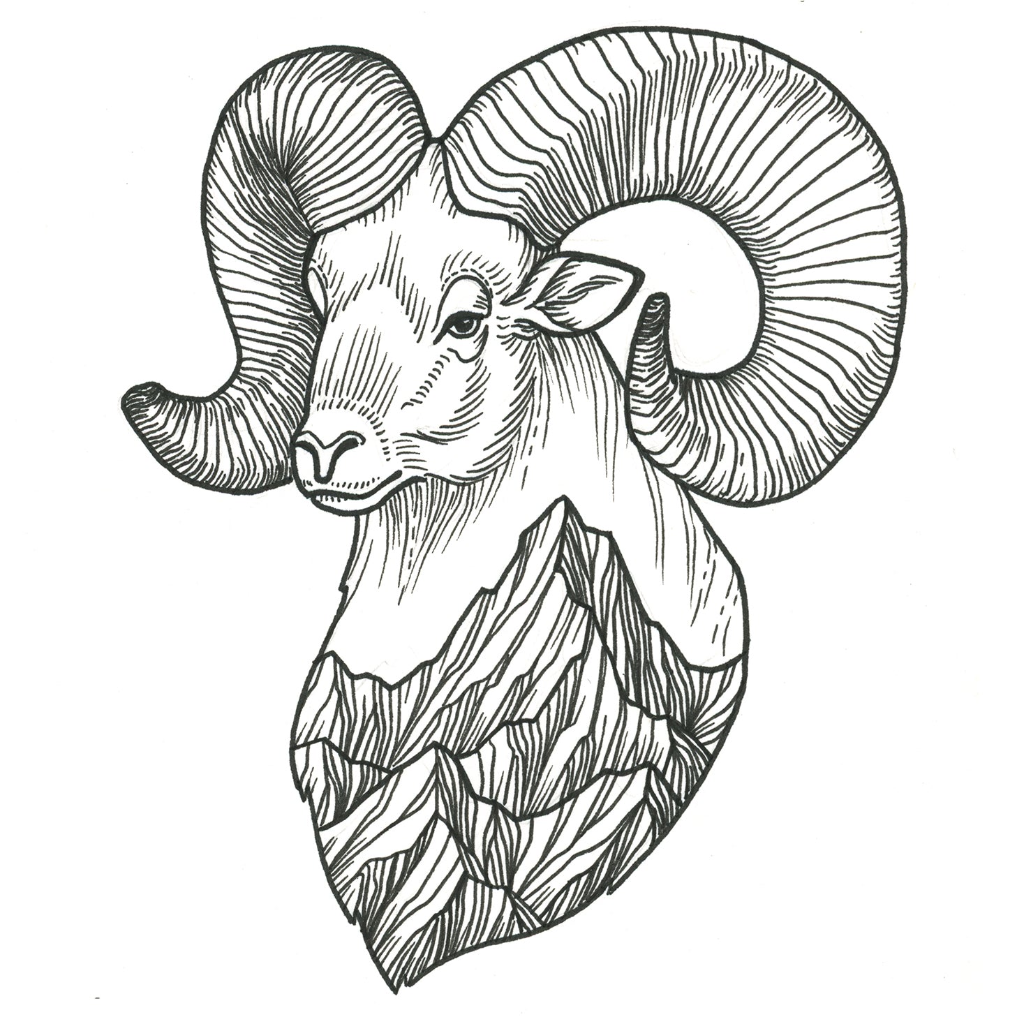 bighorn sheep tattoo