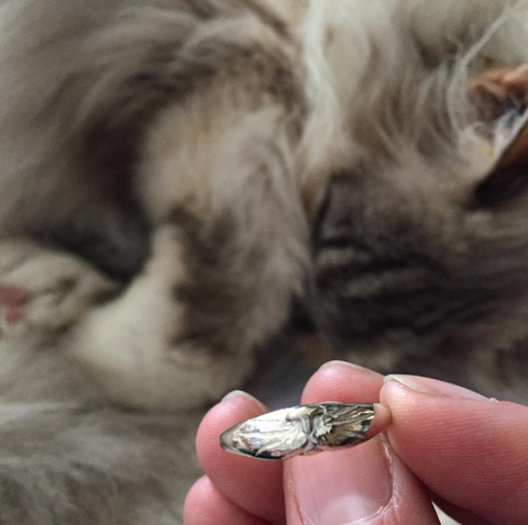 Cat Ring