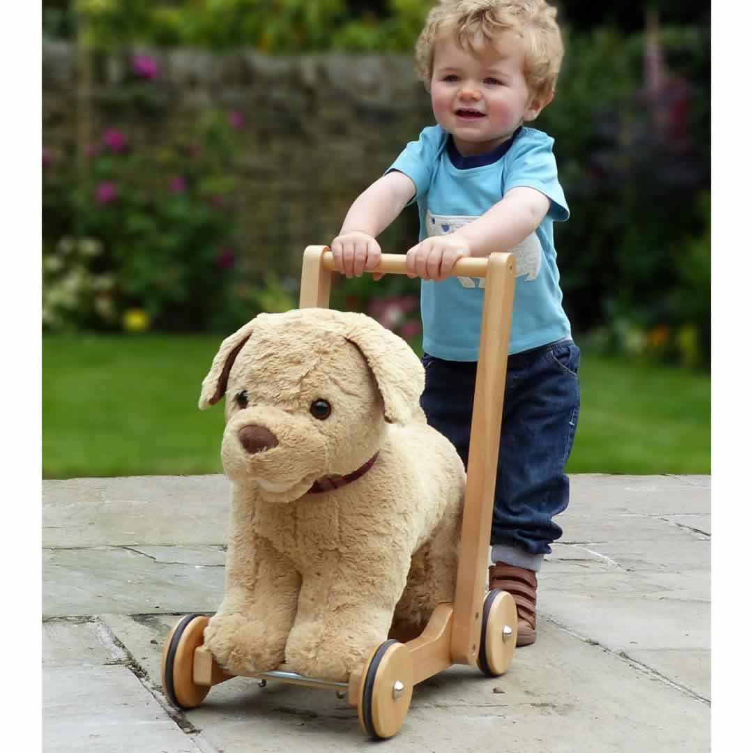 push along dog baby walker