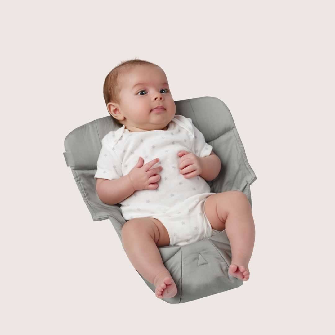 ergo easy snug infant insert