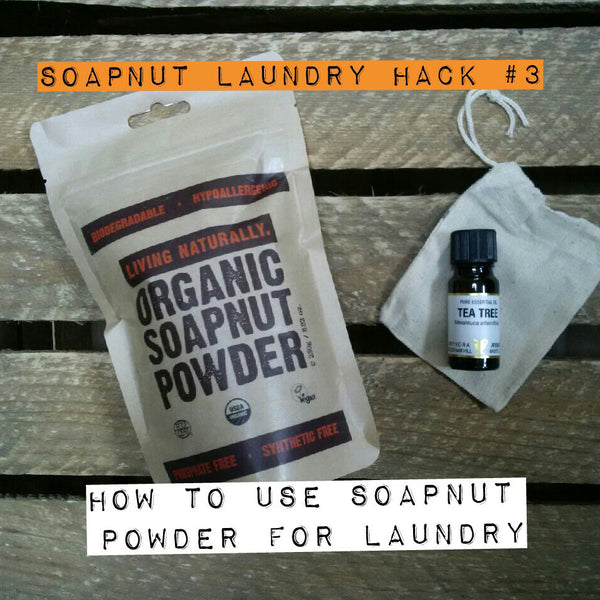 soapnut powder for laundry