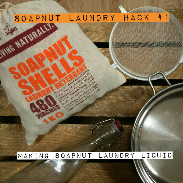 homemade organic soapnut laundry liquid