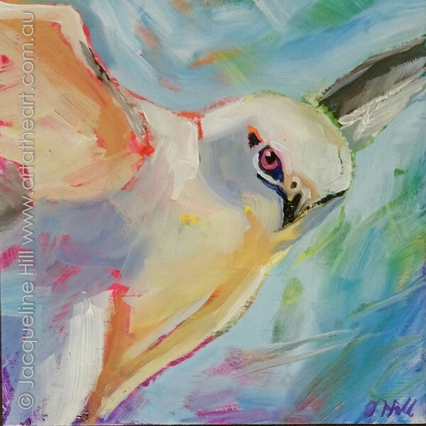 DP340 "Hawkeye" (White Hawk) Original Oil on Panel Painting by Jacqueline Hill