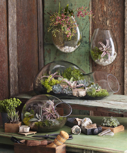 Roost Recycled Glass Bubble Terrariums Shop Nectar 4760