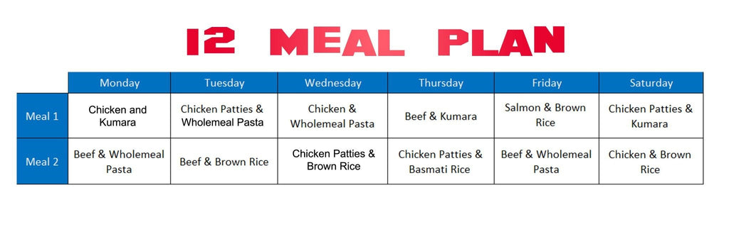 12 meals per week plan