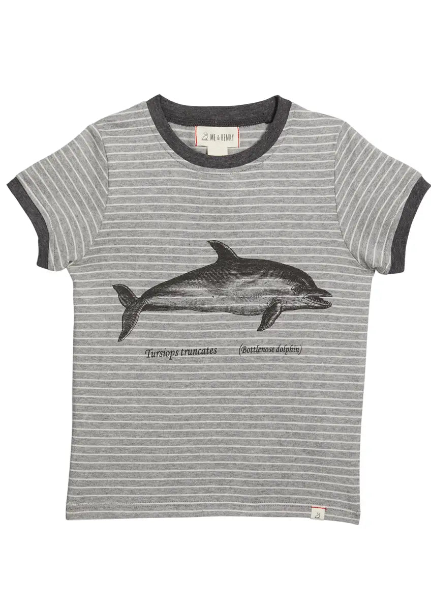 Dolphin