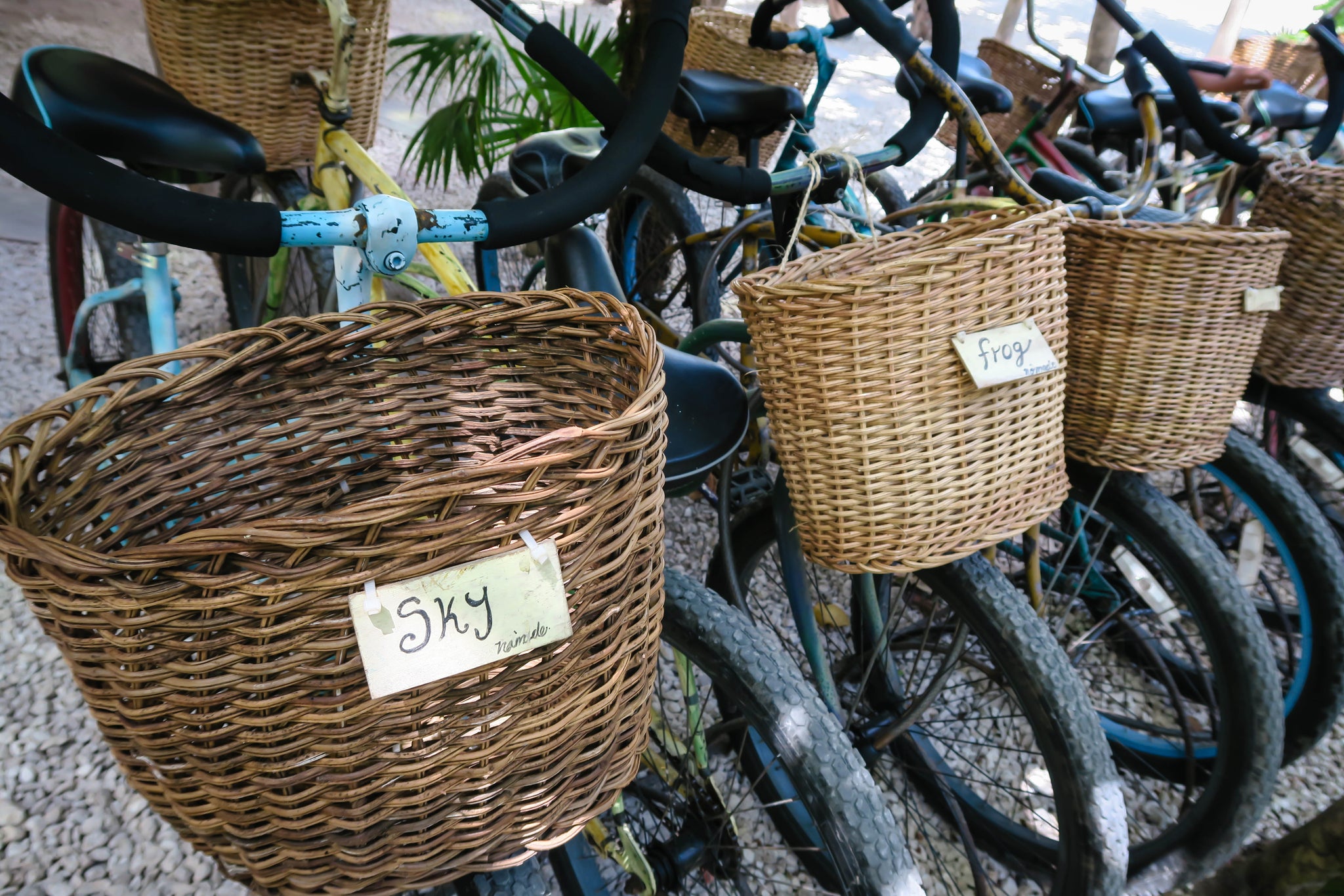 Nômade Hotel Tulum complimentary bikes
