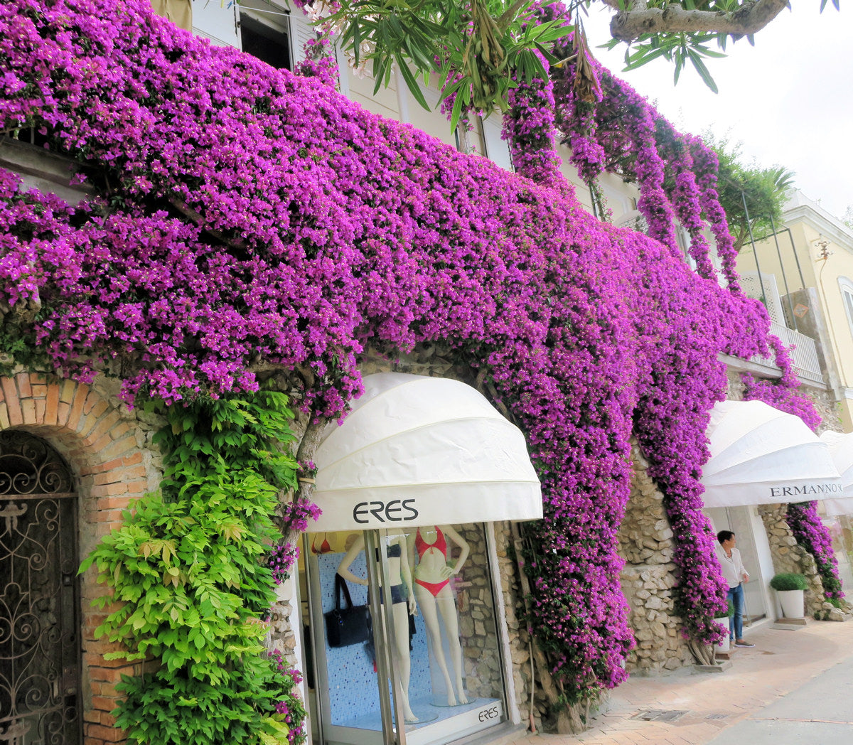 Shops in Capri Eres