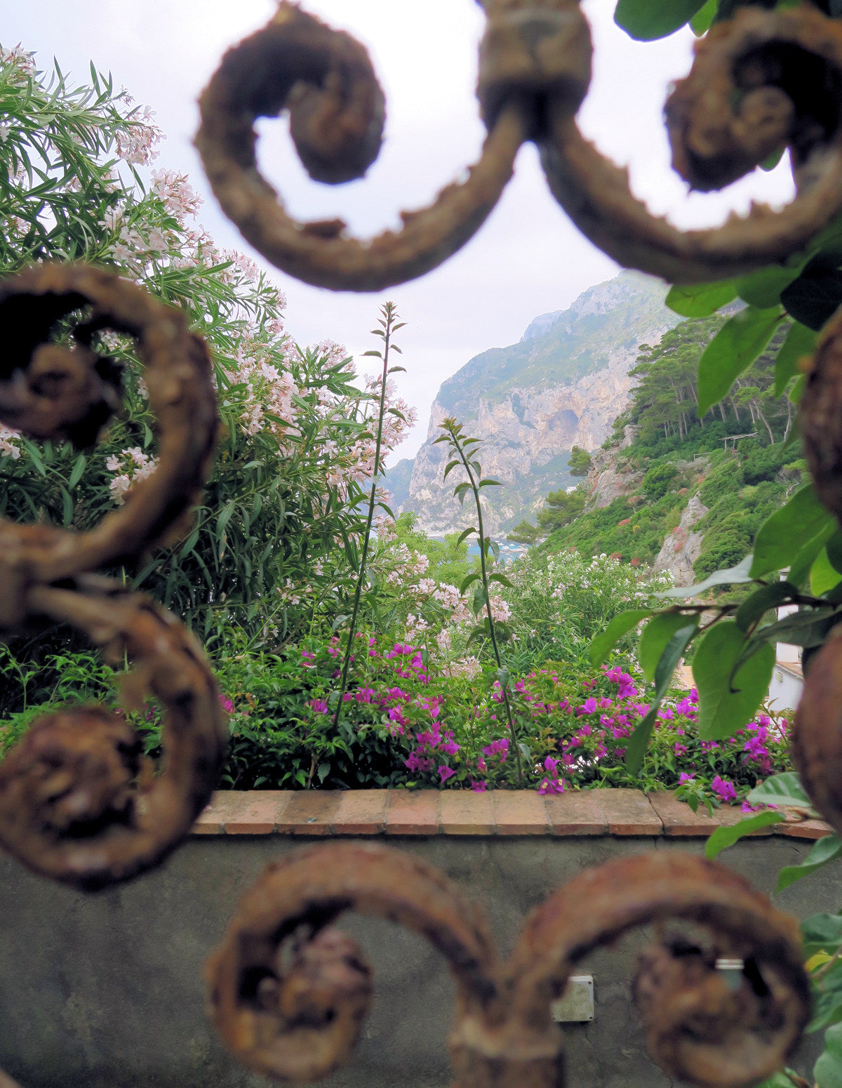 Through the gates of an estate Capri