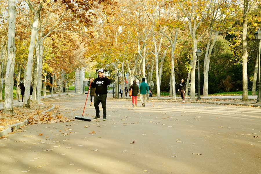 preparando el terreno