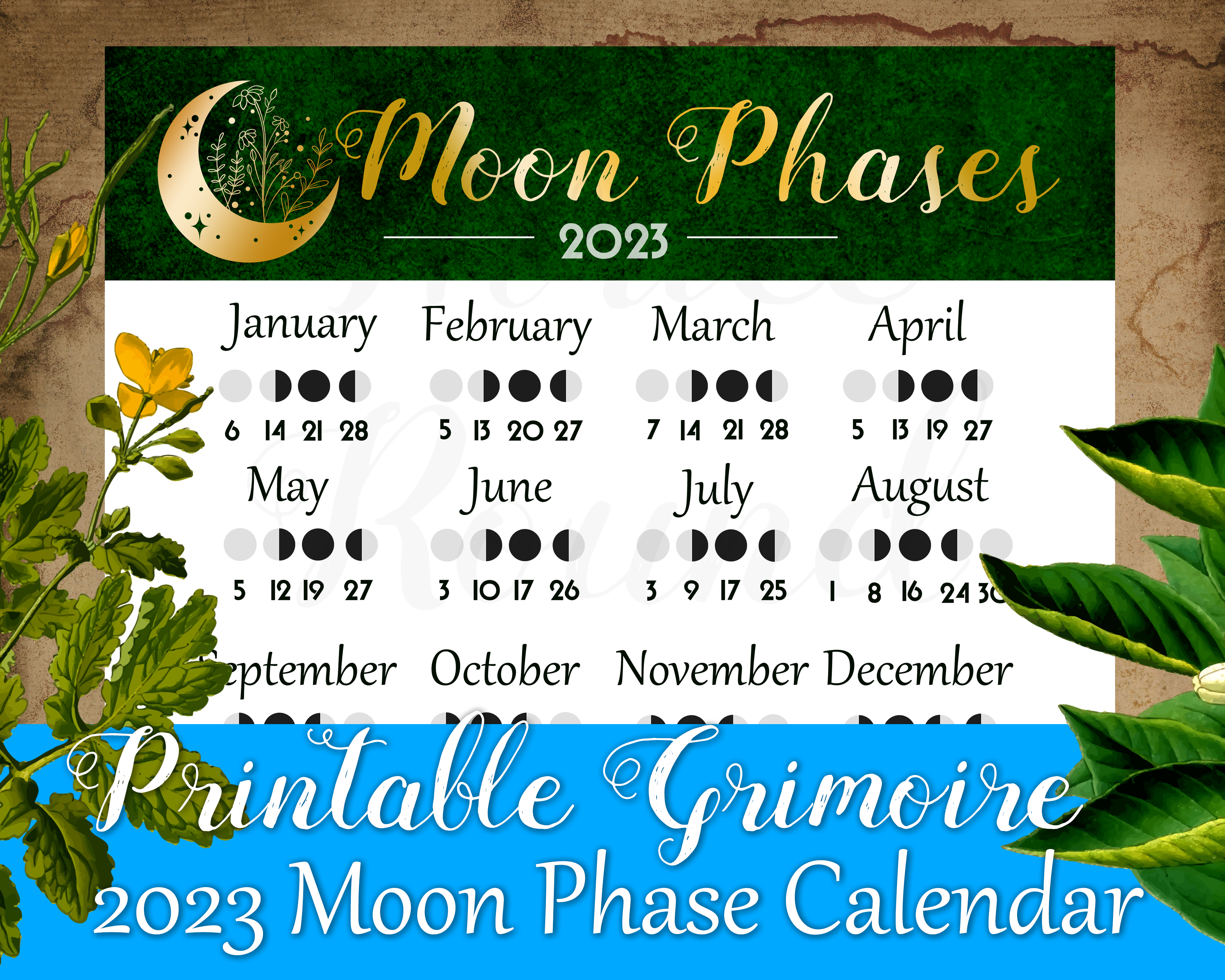 2023 Moon Phase Calendar Green - Printable Book Of Shadows Page - Grim –  Thrice Round Witch Shop