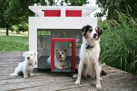 most expensive dog house