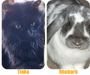 The CoatHook undercoat pet comb works on long-haired cats and rabbits