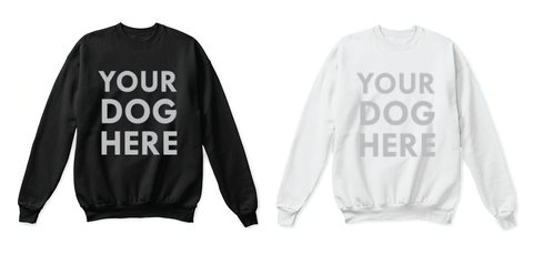 Discounted Crewneck Sweatshirt - Using Same or Previous Artwork