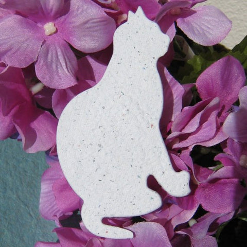 Custom Seed Packets for PetSmart