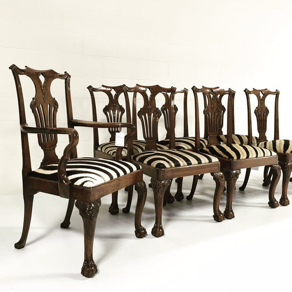 George II Walnut Dining Chairs in South African Zebra Hide - Set of 8