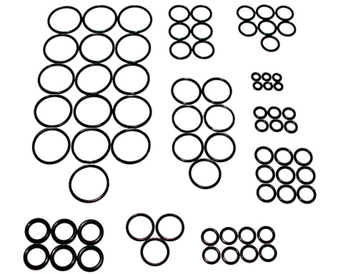 ANS Complete O-Ring Kit 3x Rebuild (Bag) - PM7