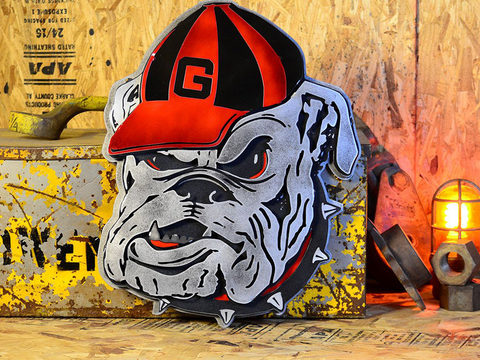 UG Bulldog gift