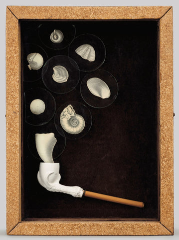 toi art gallery Joseph Cornell