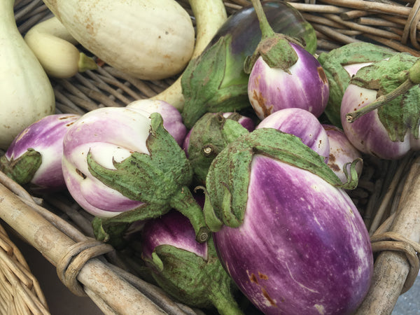 Rosa Bianca eggplants from Shear Rock Farms