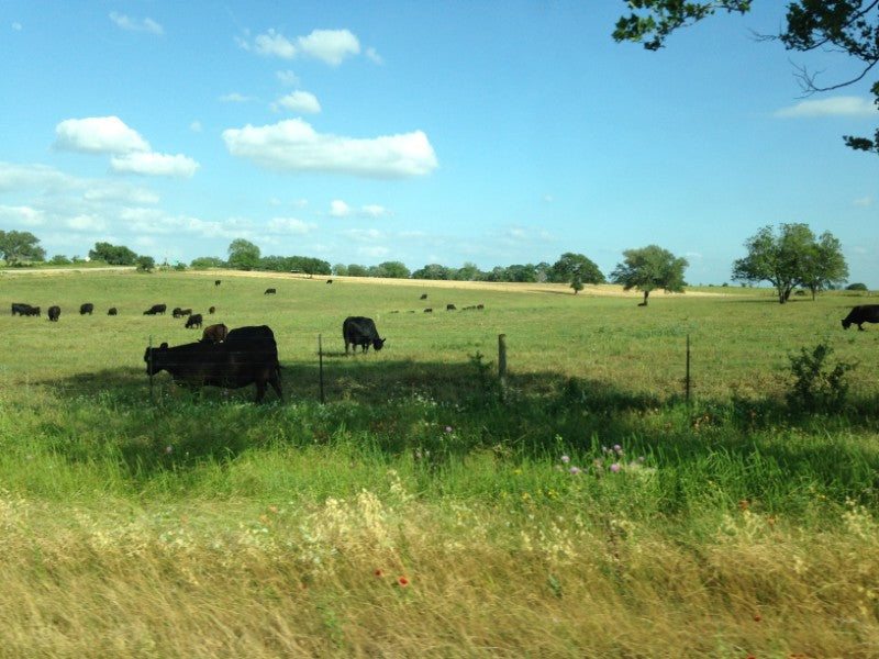 exploring central texas by road