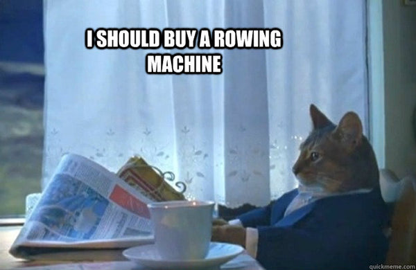 Even a cat should buy a rowing machine