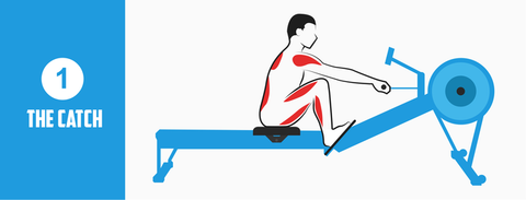Rowing Machine Position The Catch