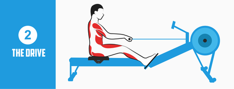 Rowing Machine Position The Drive
