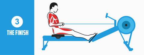 Rowing Machine Position The Finish