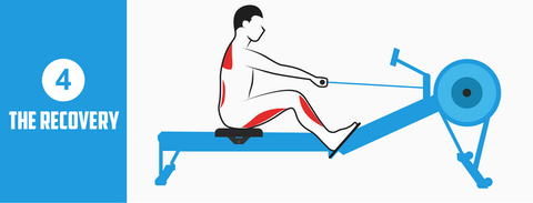 Rowing Machine Position The Recovery