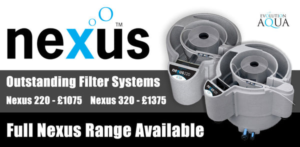 fantastic deals on all nexus filters