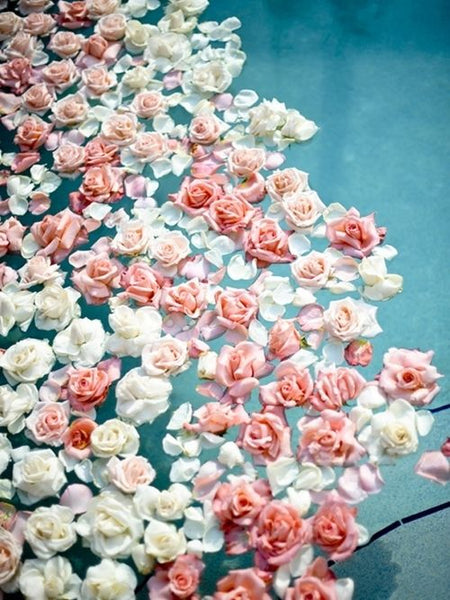 Petal to Potion